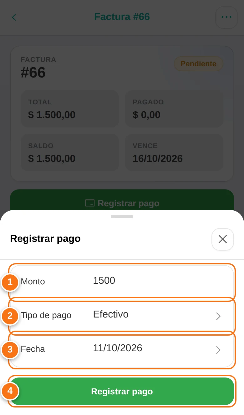Registrar un pago