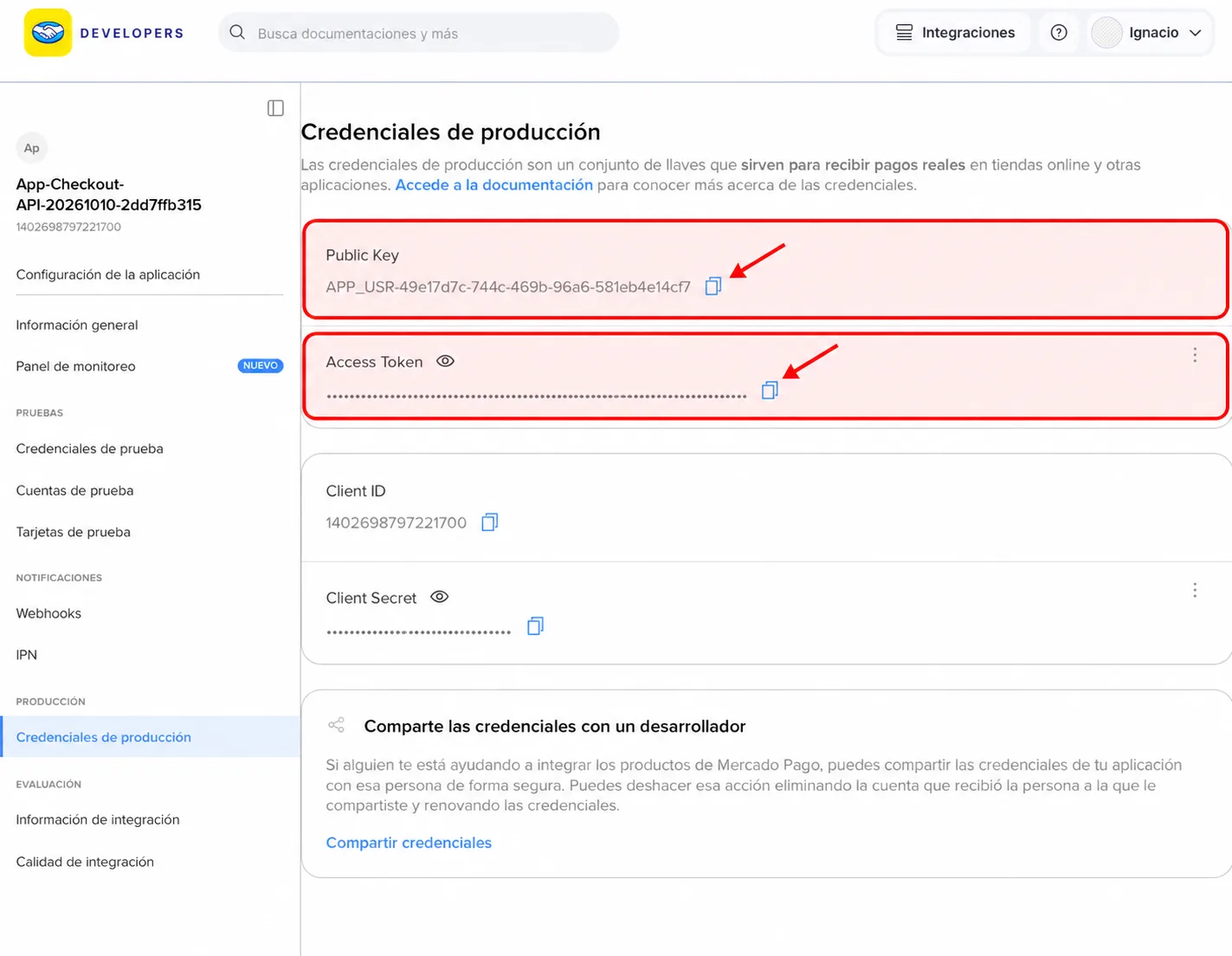Copiar Public Key y Access Token